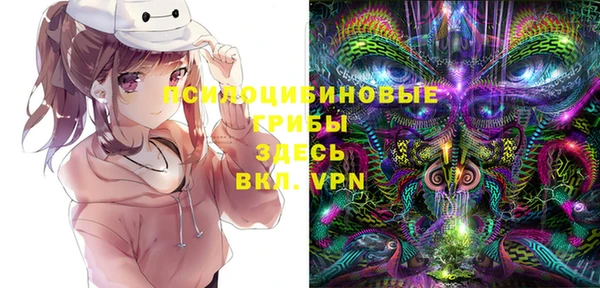 ПСИЛОЦИБИНОВЫЕ ГРИБЫ Новокубанск