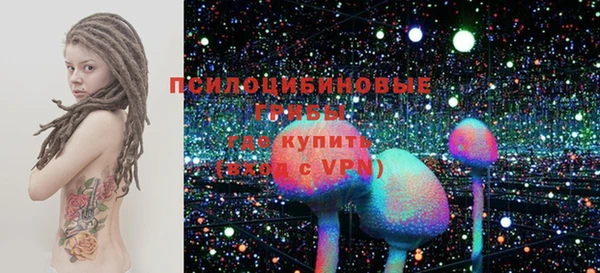 apvp Алексин