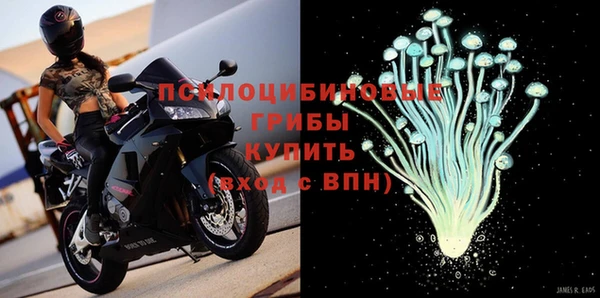 МДМА Алексеевка