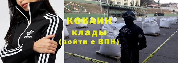 apvp Алексин