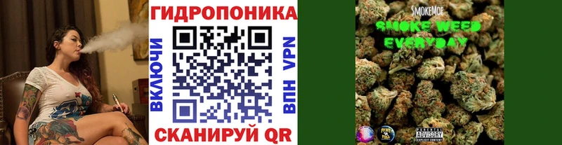 мега как зайти  Тавда  Конопля White Widow  где купить наркоту 